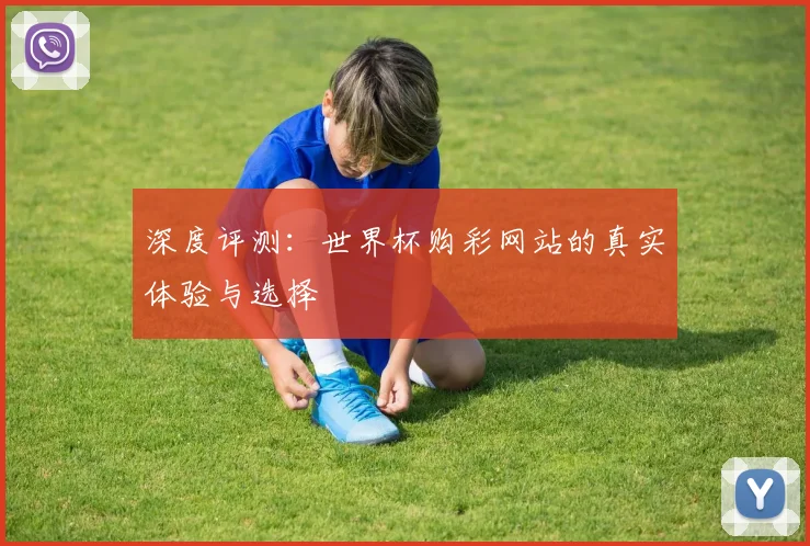 深度评测:世界杯购彩网站的真实体验与选择