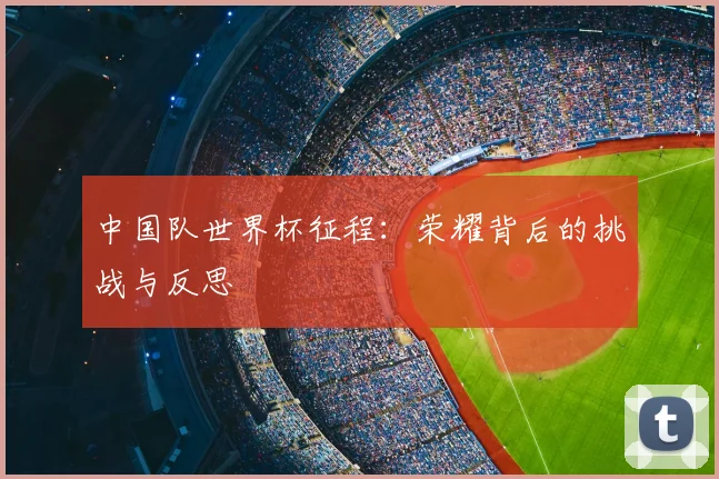 中国队世界杯征程：荣耀背后的挑战与反思