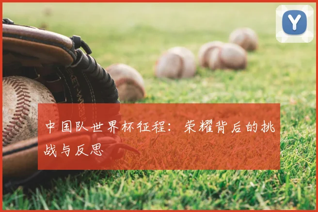 中国队世界杯征程：荣耀背后的挑战与反思