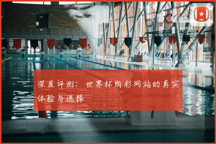 深度评测:世界杯购彩网站的真实体验与选择