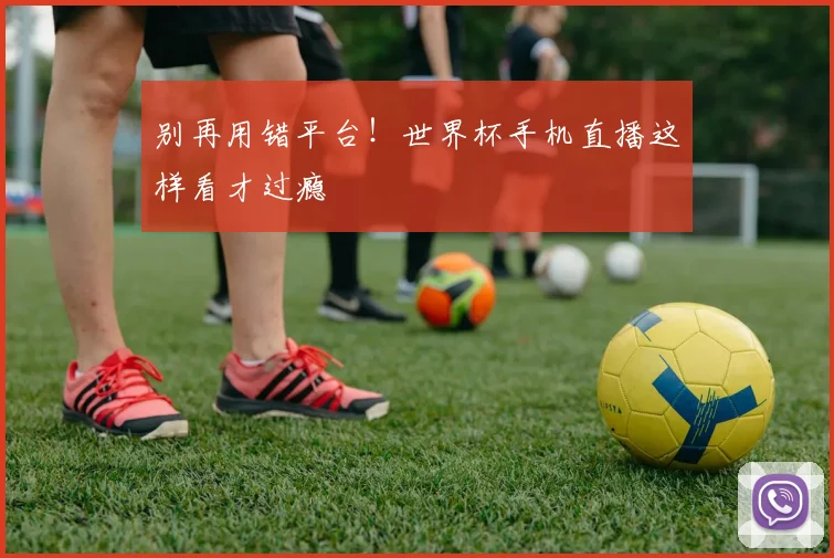 别再用错平台！世界杯手机直播这样看才过瘾