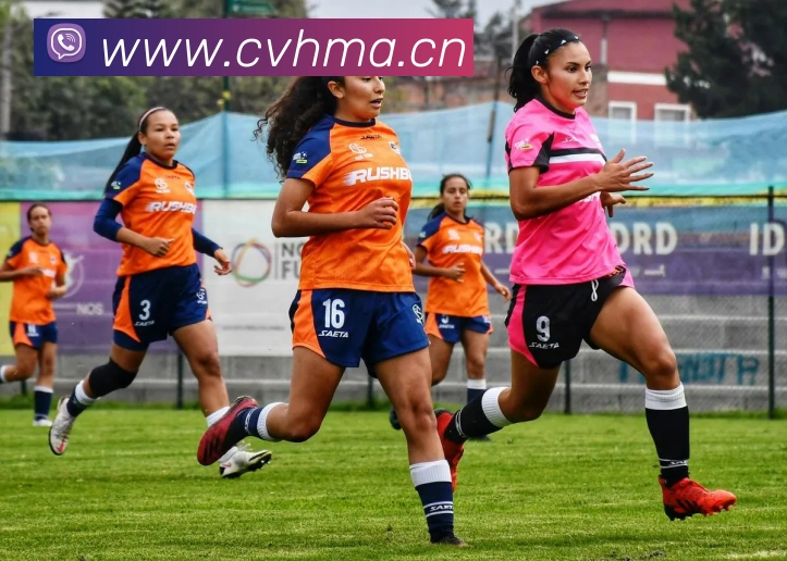 星空体育官方版官网平台生态图