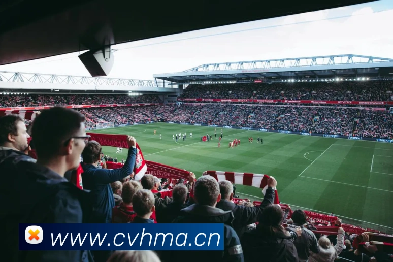 星空体育官方版官网APP 封面图